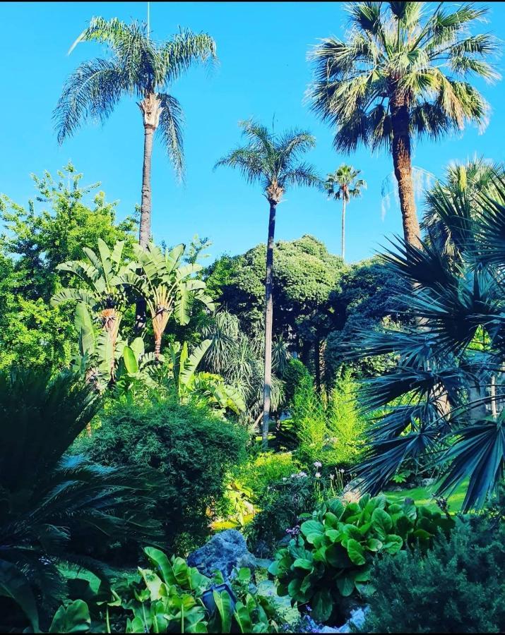 Home For 2 Few Steps From Casino Monte Carlo And Beach Beausoleil Εξωτερικό φωτογραφία