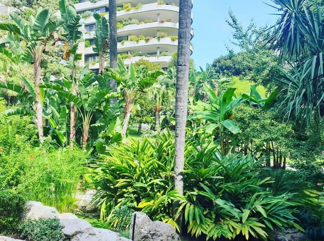 Home For 2 Few Steps From Casino Monte Carlo And Beach Beausoleil Εξωτερικό φωτογραφία